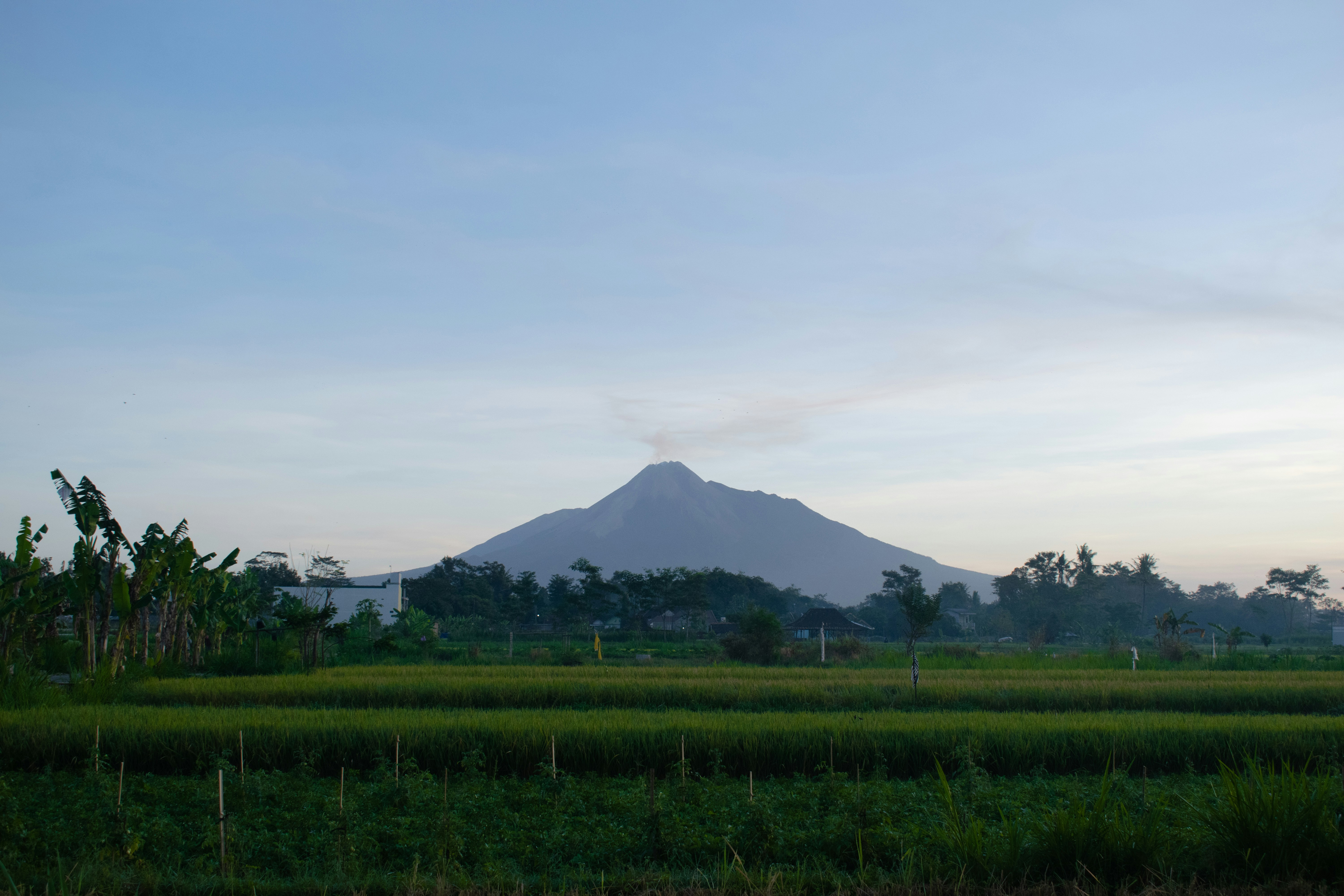 Yogyakarta vs Malang: Mana Kota Terbaik untuk Menikmati Masa Tua?